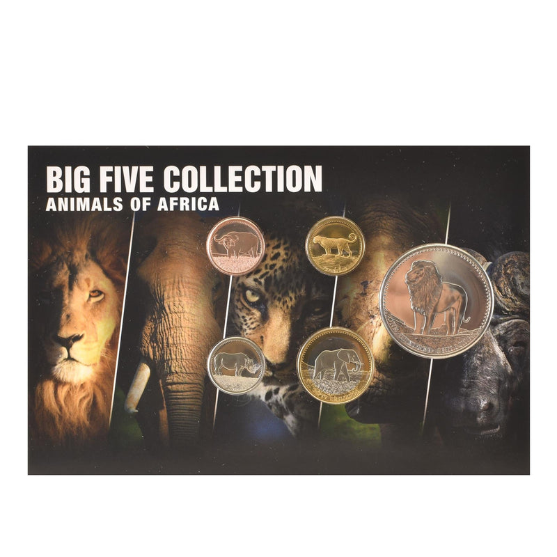 5 Coin Set Somalia | The Big Five Animals | 5 10 20 50 100 Shillings | Water Buffalo | Rhino | Elephant | Leopard | Lion 2013