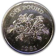 Guernsey Coin | 1 Pound | Queen Elizabeth II | Guernsey Lily | KM37 | 1981