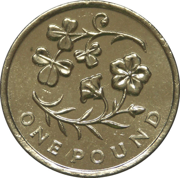 United Kingdom Coin 1 Pound | Elizabeth II 4th portrait | Flax and Shamrock | 2014