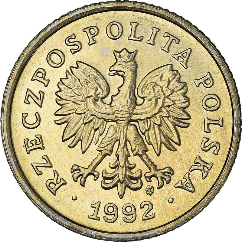 Polish 50 Groszy | 100 Coins | Oak Leaves | Eagle | Poland | 1990 - 2016